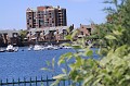 IMG_8427