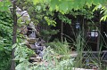 IMG_8453