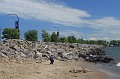 IMG_8479