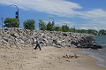 IMG_8480