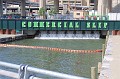 IMG_8658