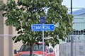 IMG_8661