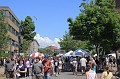 IMG_8798