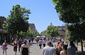 IMG_8803