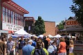 IMG_8855