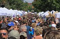 IMG_8875