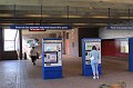 IMG_8959