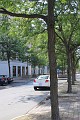 IMG_9765