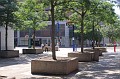 IMG_9767