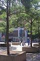 IMG_9768