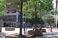 IMG_9769