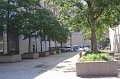 IMG_9787