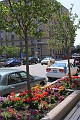 IMG_9819