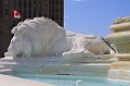 IMG_9848