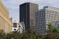 IMG_9855
