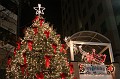 IMG_1809