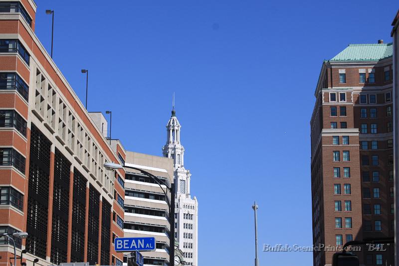 IMG_5433.jpg