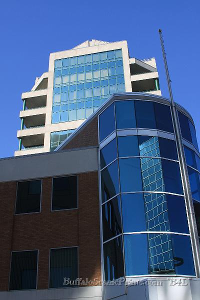 IMG_5533.jpg
