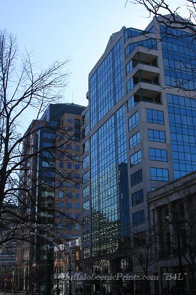 IMG_5572.jpg