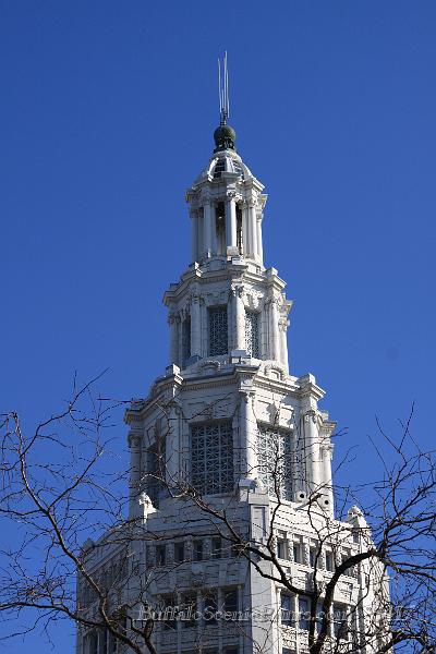 IMG_5613.jpg