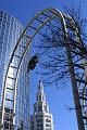 IMG_5517