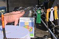 IMG_0031