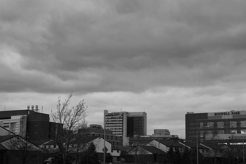 IMG_1109.jpg