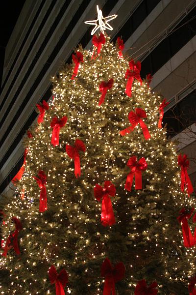 IMG_1791.jpg