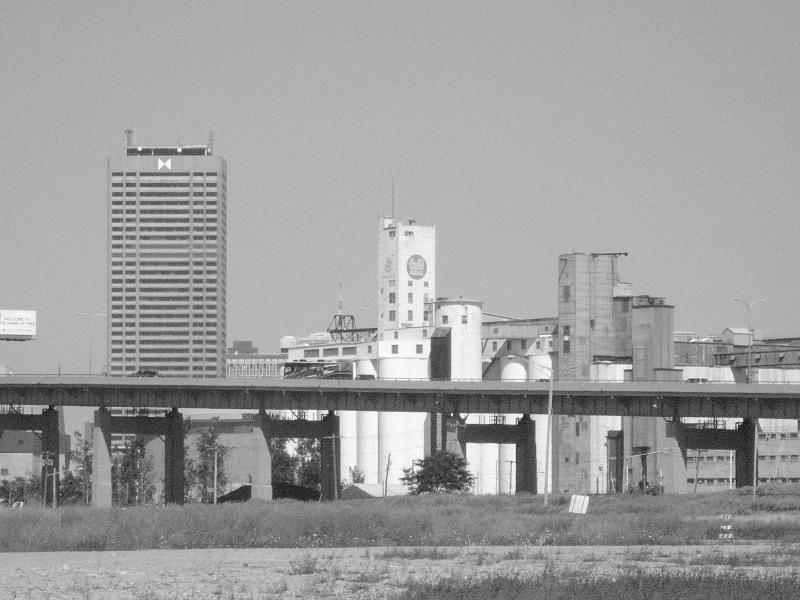 IMG_6354.jpg