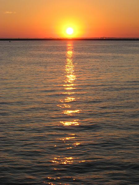 IMG_6555.jpg