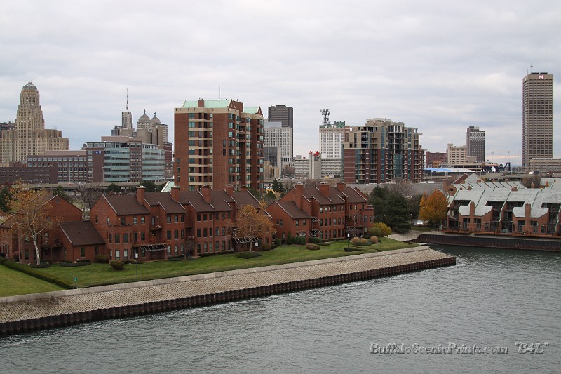 IMG_1259.jpg