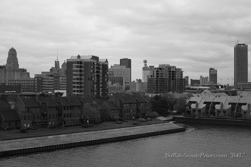 IMG_1320.jpg