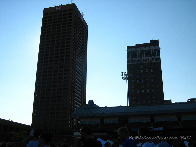 IMG_1356.jpg