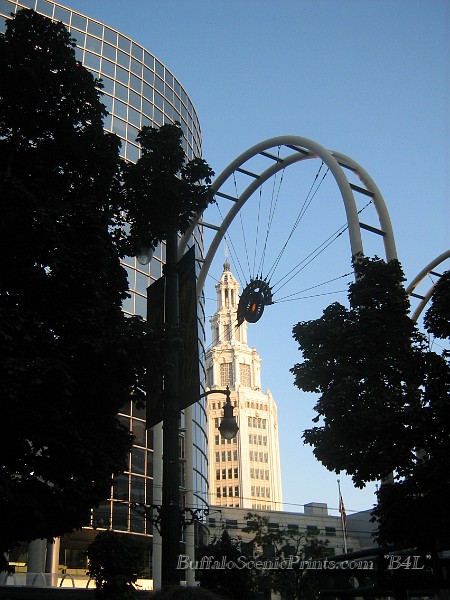 IMG_1507.jpg