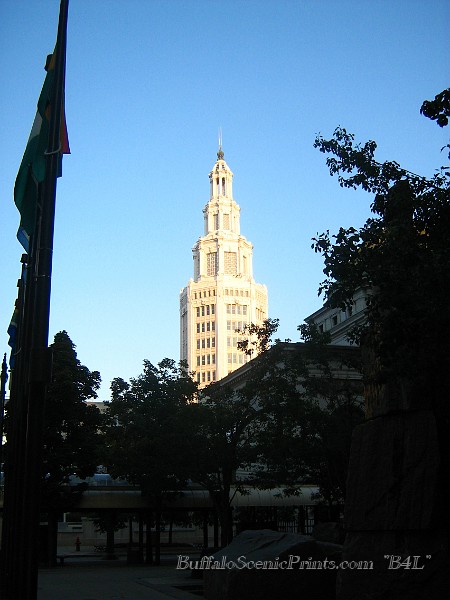 IMG_1525.jpg