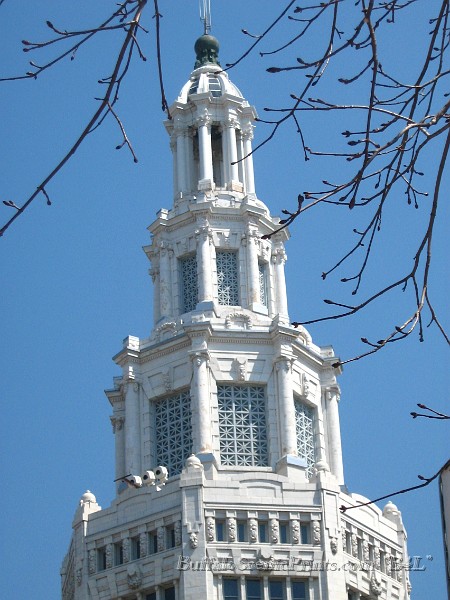 IMG_2613.jpg