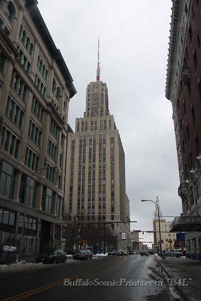 IMG_2732.jpg