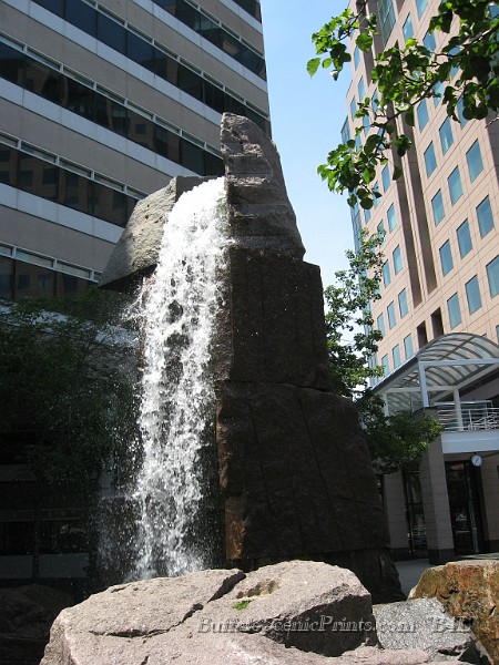 IMG_4138.jpg