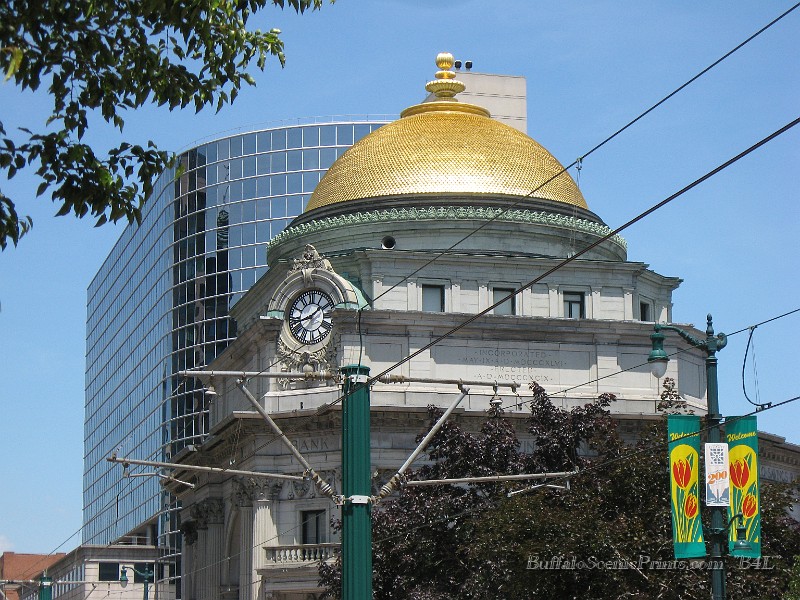 IMG_4160.jpg