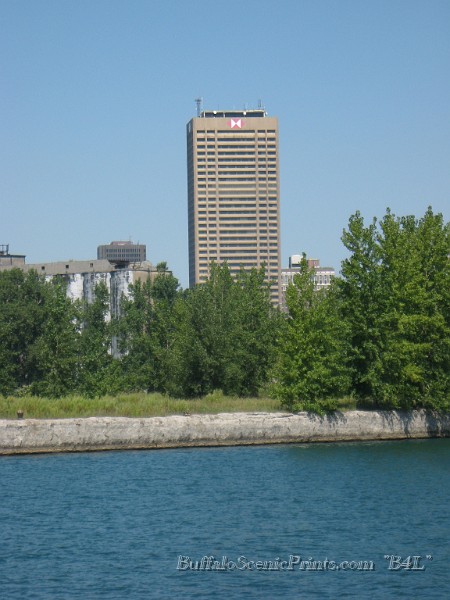 IMG_6380.jpg