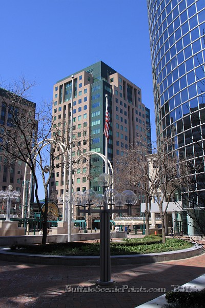 IMG_6763.jpg