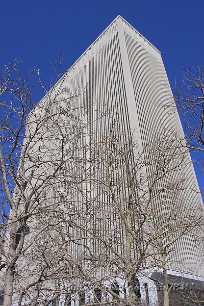 IMG_6868.jpg