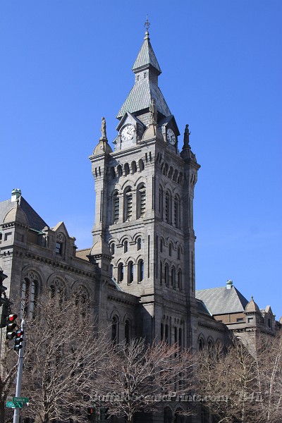 IMG_6975.jpg