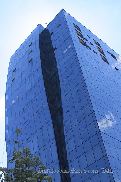 IMG_9135.jpg