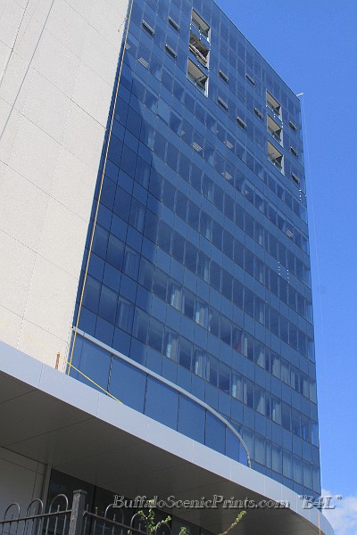 IMG_9169.jpg