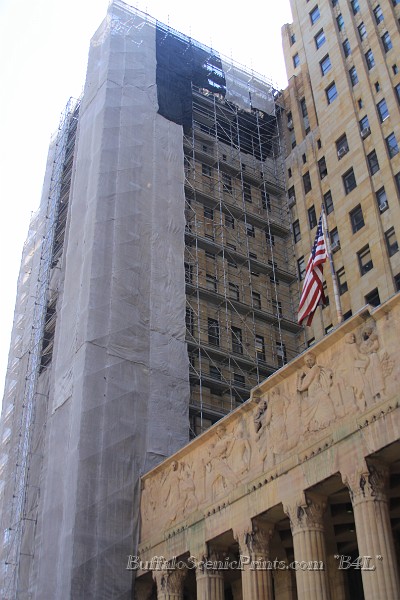 IMG_9217.jpg