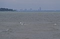 IMG_0647