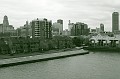 IMG_1316