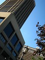 IMG_1392