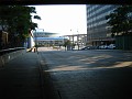IMG_1393